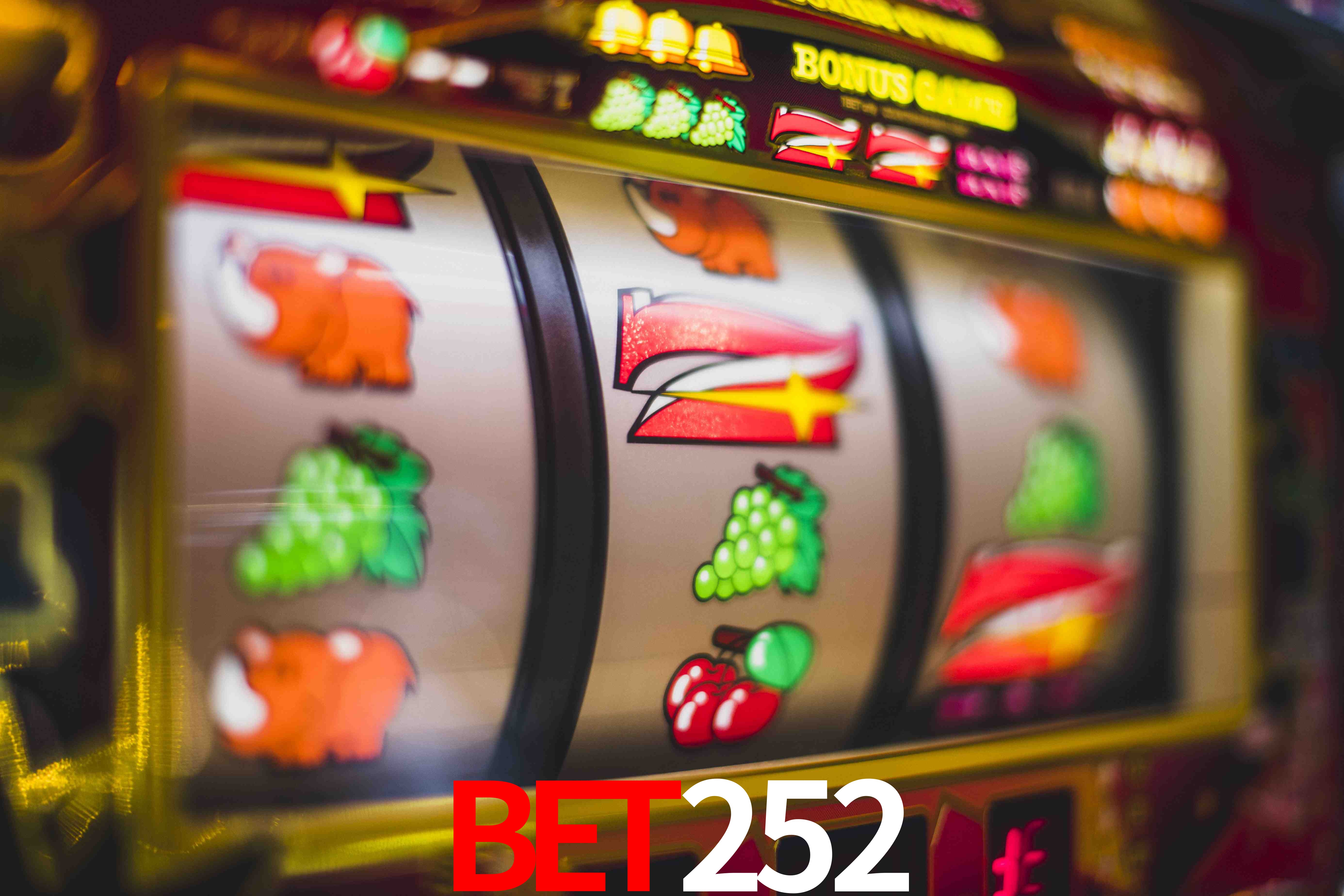 Experiência VIP bet252